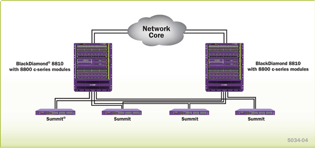 ideal core network for a small to medium-sized network with high-performance and high density.