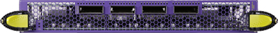 4-Port 100GbE Fiber Interface Module