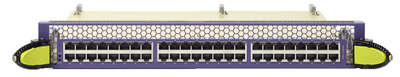 48-Port 10GbE Copper Interface Module