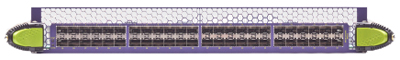 48-Port 10GbE Fiber Interface Module