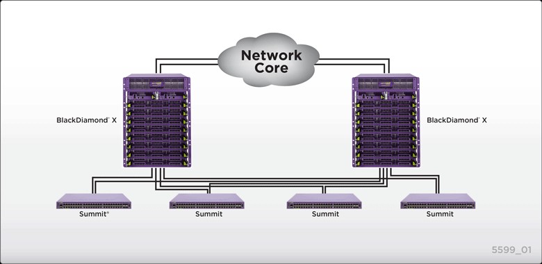 Network Core