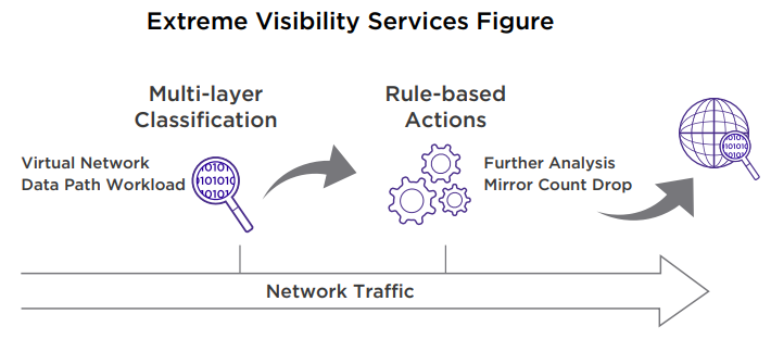 Extreme SLX Visibility Services